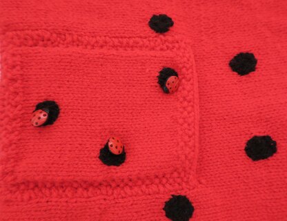 Ladybird Baby Car Seat Blanket + Hat