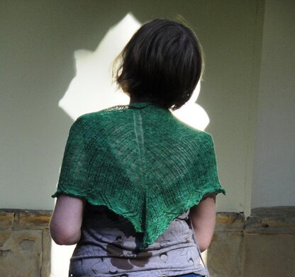 Caleta Tortuga Shawl