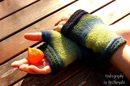 Coziness Fingerless Mitts