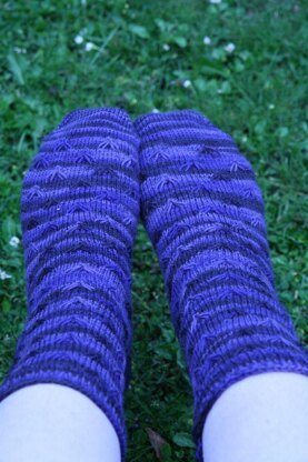 No Flies On Us! socks