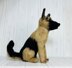 German Shepherd Dog