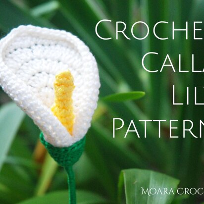 Crochet Calla Lily