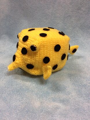 Sea Creatures Boxfish