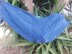 Blue frills