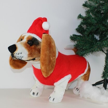 Dog Christmas Santa Hat and Coat