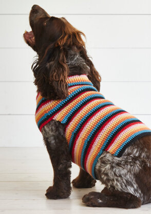 Crochet on sale dog coat