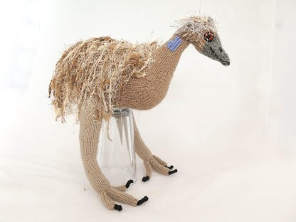 Australian Emu Bird