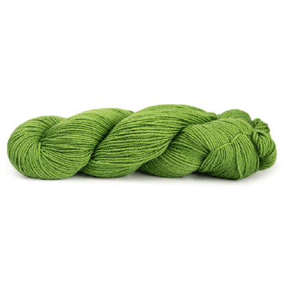 Tree Frog (1204)