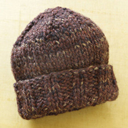 Sparrow Creek Hat in Lion Brand Wool-Ease Thick & Quick - 81017B