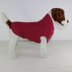 Chunky Garter Stitch Dog Coat