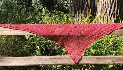 Autumn's Edge Shawl