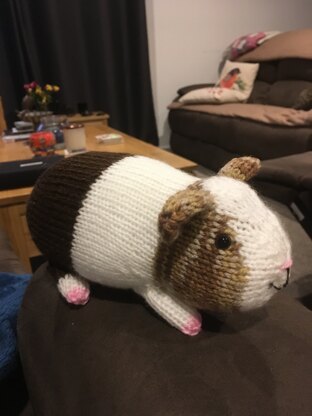 Gordon the Guinea Pig