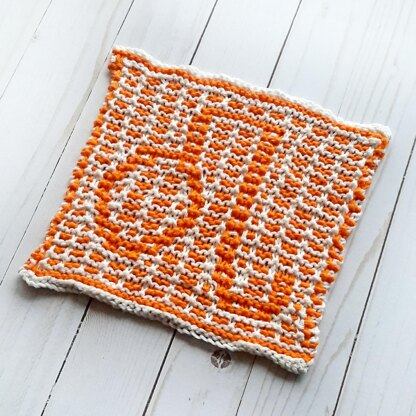 Leo Dishcloth