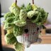 Cute pothos plant crochet pattern, potted flower crochet PDF pot plant pattern flowered crochet decor English pdf pattern US term