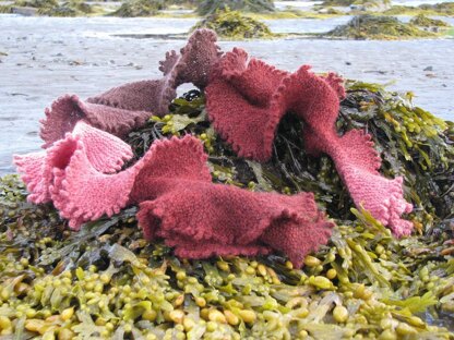 Sea Lettuce Scarf 468