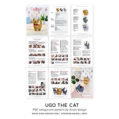 Ugo the Cat