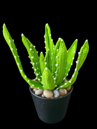 Crochet Aloe Vera plant