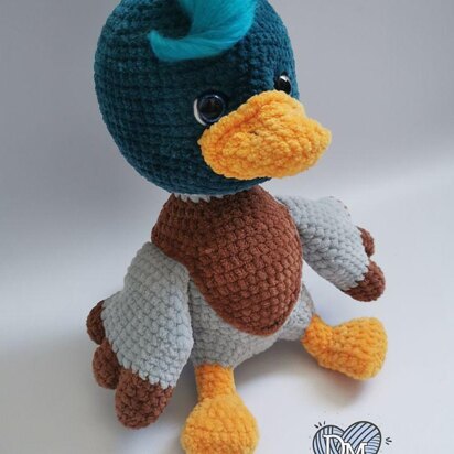 Duck mallard