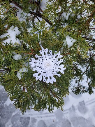 3D Crystal Snowflake for Mom #4