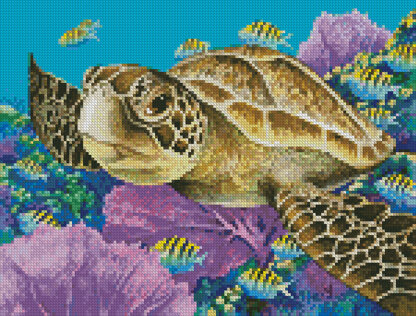 Mini Young Green Sea Turtle - #14323-MGL