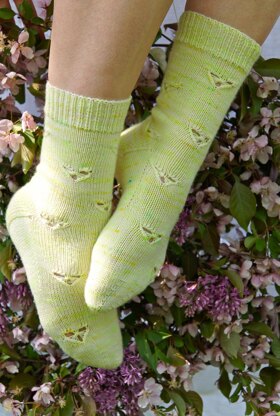 Cabbage Butterfly Socks