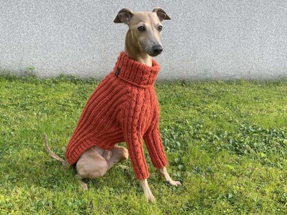 Dog Sweater ACRI CABLE