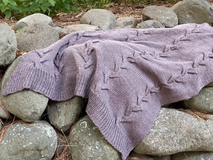 Twilight Shawl