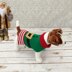 Elf Dog Sweater Crochet Pattern -485