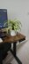 Crochet Spider plant pattern