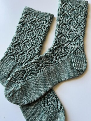 Syngonium Socks