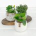 The Posh Planter 078