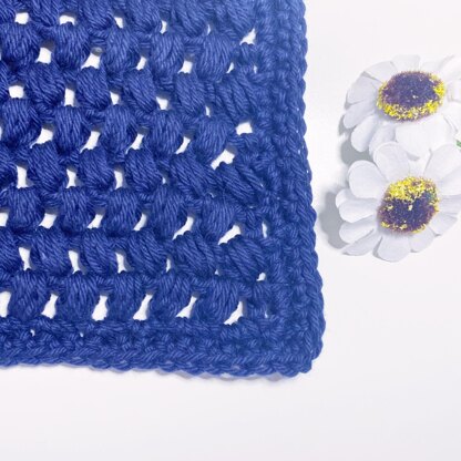 Washcloth 04 Blueberry