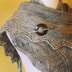 Irish Shawl