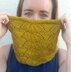 Parasol Cowl