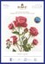 DMC Roses Cross Stitch Kit - 7x14in