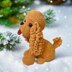 Cocker Spaniel