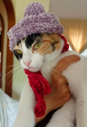 Hat and Scarf for Cats