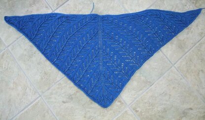 Moth Shawl