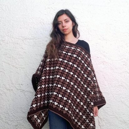 The CARMEN poncho _ C53