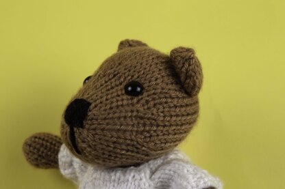 Deramores Bear in Deramores PDF