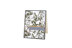 Sizzix Thinlits Die - Leafy Twigs by Tim Holtz