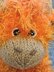 Highland Cow Choc' Orange Cosy