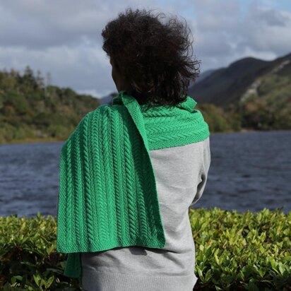 Irish Moss And Cables Shawl