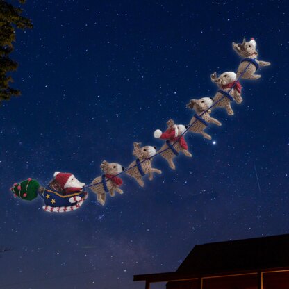 Santa Sleigh Ride