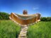 Tell it to the Bees Shawl
