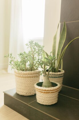 The Sunny Day Planter Baskets