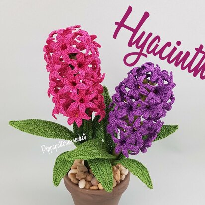 Hyacinth