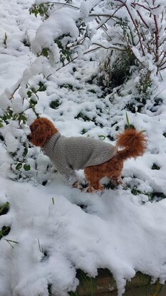 Dog Sweater Charlie No.3