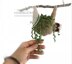 Sloth planter