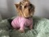 Pink Dog Sweater